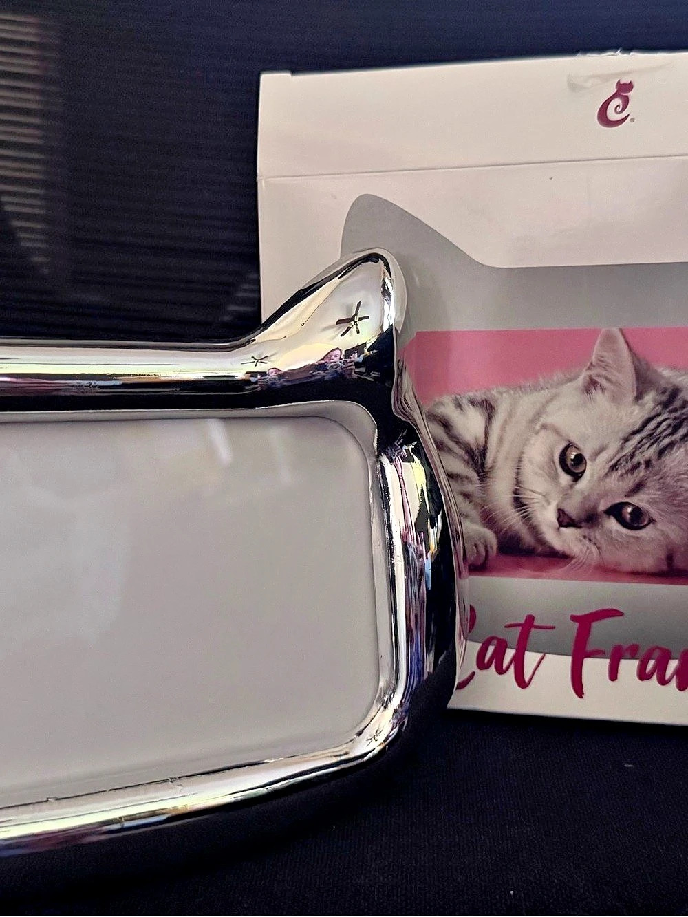 Cat Lady Cat Frame Cat Photo Frame Silver 3x5 NWT